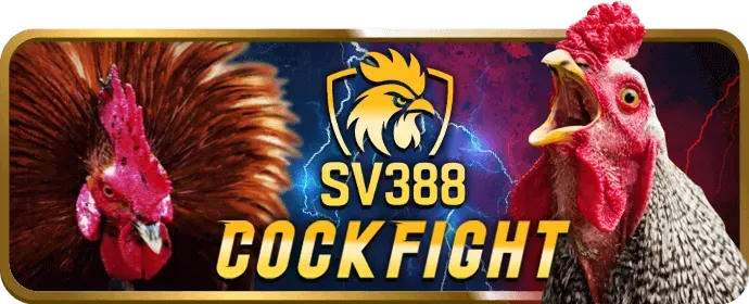 Ưu đãi chào mừng thành viên mới M99